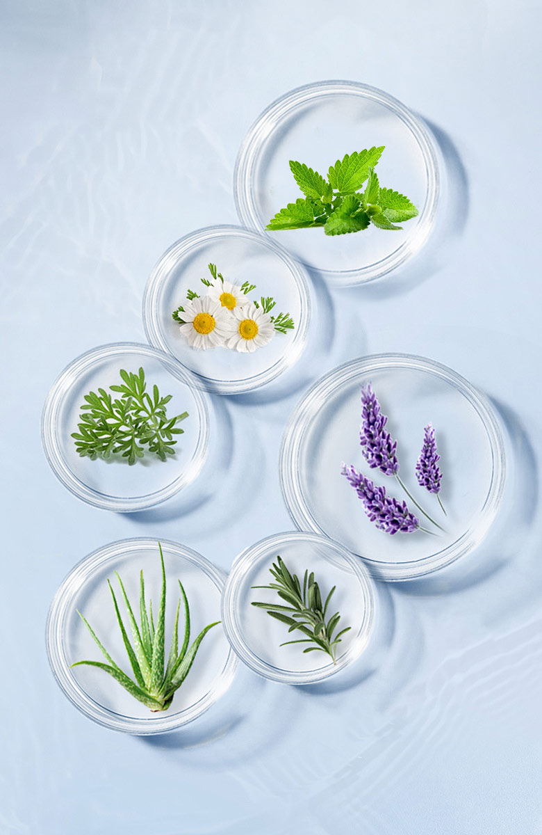Herbal-Series-Flavors
